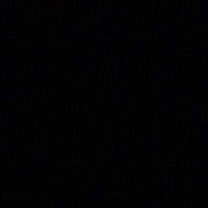 Meet your Posher, Lilly